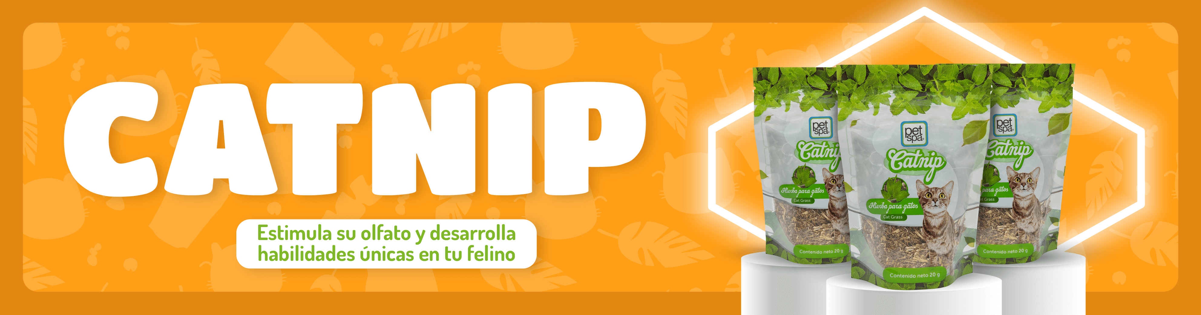 BANNERS PETSPA_Mesa de trabajo 1
