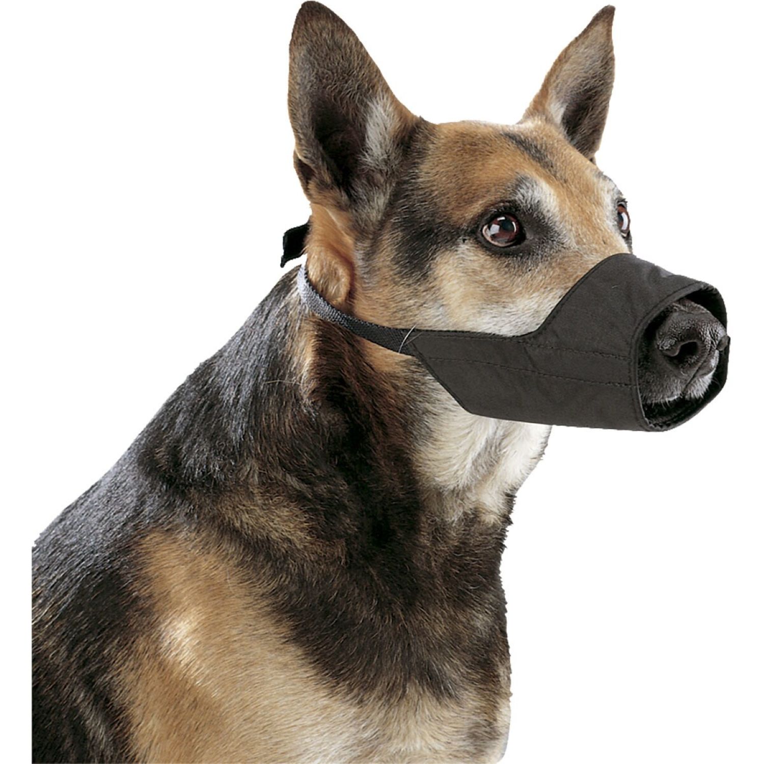 Bozal Para Perro Kruuse en Nylon Numero 5 - Imagen 2