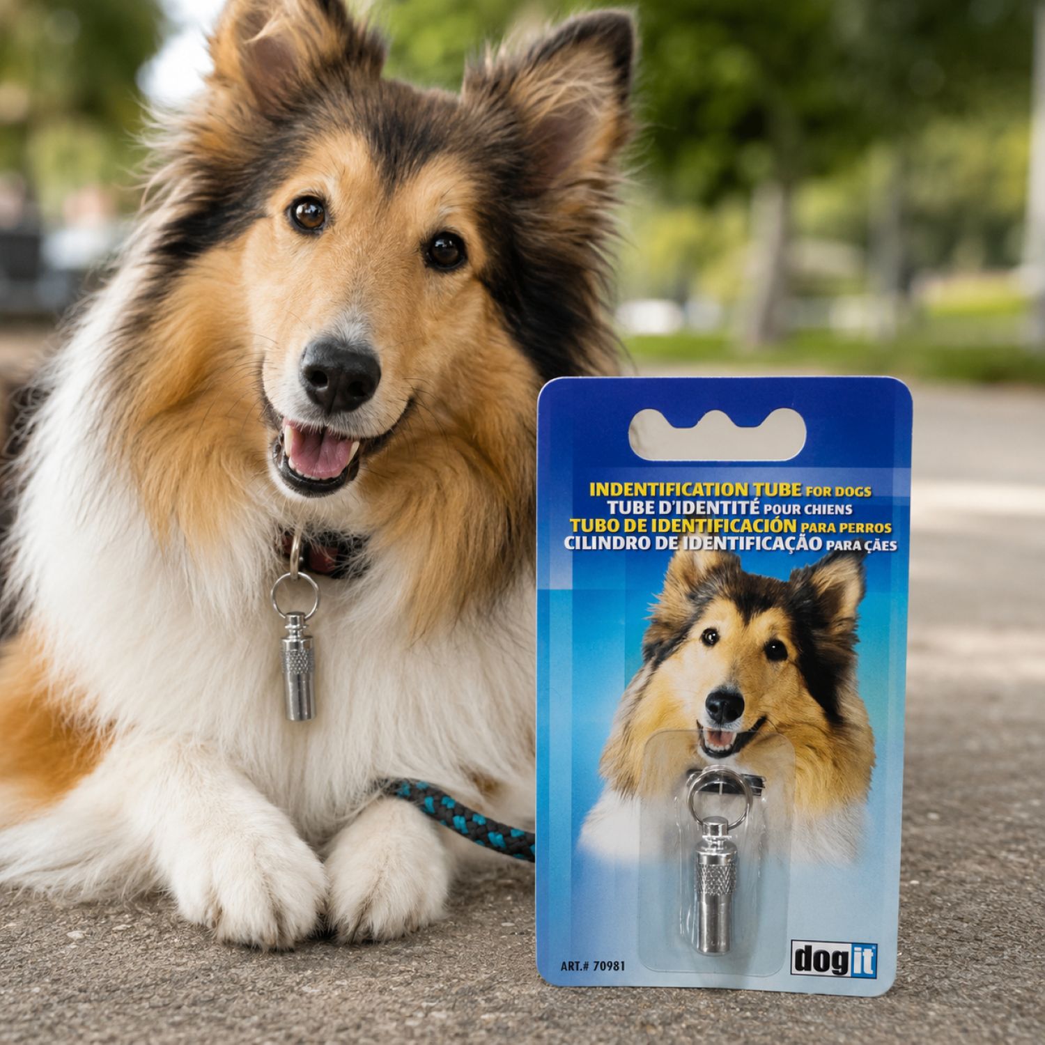 Identificador Para Perro Dogit Cromado - Imagen 3