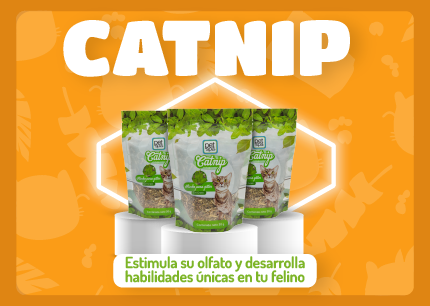 BANNER PAGINA WEB PETSPA-28